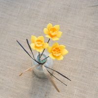 Trois jonquilles de printemps dans un vase sur fond gris