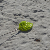 Feuille verte nervurée