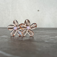 Bouquet Rose Translucide