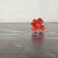 Bouquet Rose Translucide