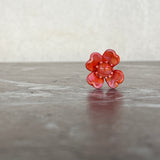 Bouquet Rose Translucide