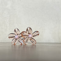 Bouquet Rose Translucide