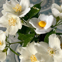Une fleur blanche en verre de murano au mileu de fleurs semblables réelles.