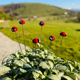 Six coccinelles en verre de Murano sur fond de montagne du Pays basque