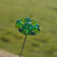 Marguerite jaune, bleue et verte - Tige de fleur individuelle en verre de Murano