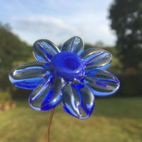 marguerite bleue en verre de murano