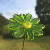 marguerite vert foncé  en verre de Murano