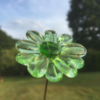 une marguerite vert clair en verre de murano